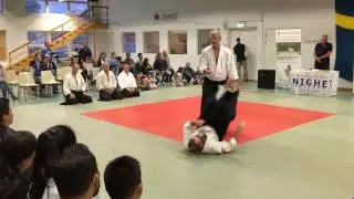 Enighet Aikido Demonstration - Malm&ouml;, August 2016