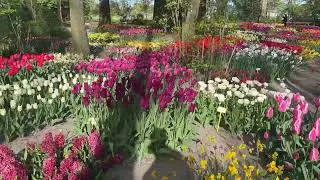 POLDERTUIN 2025