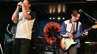 Red Hot Chili Peppers - Don&rsquo;t Forget Me + Right On Time (Slane Castle 2003) Band Cover