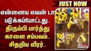 #justnow | என்னைய எவன் டா படுக்கப்போட்டது.. திரும்பி பார்த்து காளை சம்பவம்.. சிதறிய வீரர்..