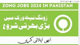 jobs in zong @Jobsvillas