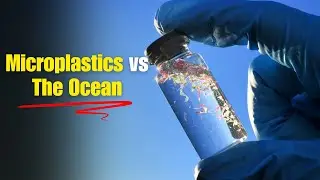 Microplastics Are Undermining the Ocean&rsquo;s Carbon Sink - And Fueling Climate Change