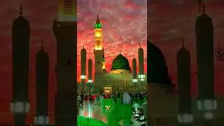 #islamicshorts #islamicreels #islamicreminder #quran #dua #zikr #allah #deen #shorts #viral #fyp
