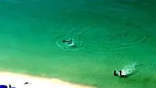 Destin Large Hammerhead Shark near miss! August 24th 2014