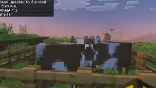 almost all your minecraft pain in one video
