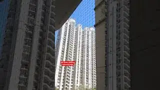 Best Bird Netting Service in Delhi NCR | Pigeon Safety Net for Balcony | RK Bird Net