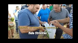 Есенна сеитба на микс от Покривни култури - Дейл Стриклър при Павел - 2024
