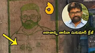 Director Sukumar Paddy Farming Art Video and Video Launch Event | Pushpa | Andhra Life TV