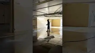 Behind the Scenes: Our Process, Royal Results
