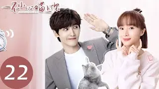 ENG SUB【一不小心喵上你 Accidentally Meow On You】EP22 周天强制纪宸静养，办公室恋情险些曝光（邢昭林、胡冰卿）