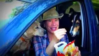 Timbit Doggie