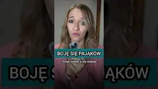 aprende polaco: frases b&aacute;sicas, como decir 