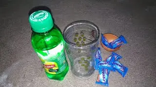 Mentos Mint vs Dailee Lemon Drink Experiment | Science Experiment Tamil