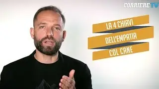 Come si pu&ograve; creare empatia con il cane? Le quattro chiavi per riuscirci