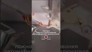 Причина ложного срабатывания автоматического выключателя #shorts