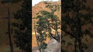 Nepal Travel Insights | This Is the Nepal No One Shows #fypシ