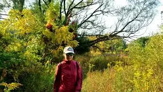 Humber River & West Humber Trail, Toronto, ON, Canada