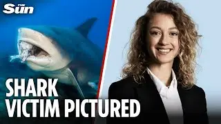 Swiss Tourist KILLED in Australia shark attack as hero partner fights for his life