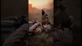 A Soldier Fell&hellip; His Dog&rsquo;s Reaction Broke Everyone 🇺🇸