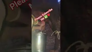 Buffalo Milking By Hand 😱 #cow #fs16mecowkaisekharide #farming #baffalo #funny #comedy #animals