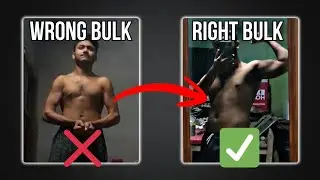 Full Bulking Guide for Beginners