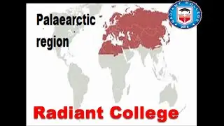 ZOL-508 principles of zoogeography lec 4  Holarctic( Palaearctic) region