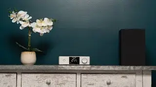Rotel DX 5 Integrated Amplifier