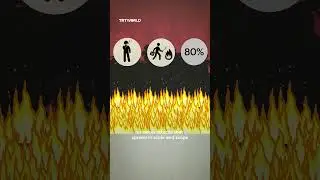 What are wildfires?
