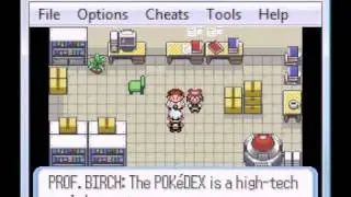Zangoose solo run phase1
