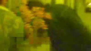 Il giardino di TAVLON (trivigno 2005)