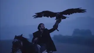 Falcong