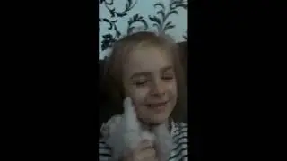 Милые видео про котят Забавные котята Котик шотландец играет в мяч и в прятки Игра с котёнком