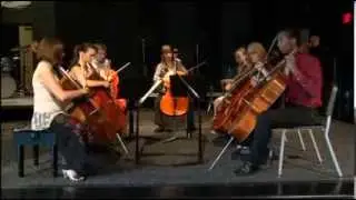 Dr. Ashley Sandor Sidon, Briggs Endowed Professor of Cello at Drake University