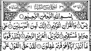 Surah Yaseen❣️Surah Yasin🌹Surah Rahman❣️Surah mulk🌹 Surah Muzammil❣️Surah Kahf🌹Yasin Quran💓0029