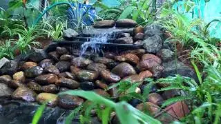 KOI POND | BACKYARD POND | KOI FISH | WATER FOUNTAIN | BOBBYS GALLERY