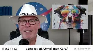 Avoid ESA Scams: Get Legitimate Help from ESADoggy