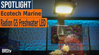 BRS Recommended Macro Algae Reef Tank LEDs! EcoTech Marine Radion G5 XR15 & XR30 Freshwater