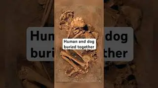 Human and dog buried together over 10,000 years ago