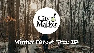 Winter Tree ID w/ Gene Desideraggio (Webinar)
