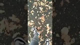 WhatsApp Video 2019 10 13 at 16 50 17