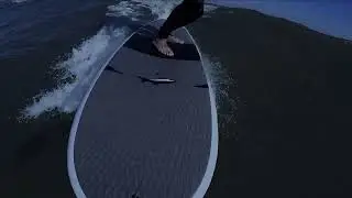 FULL MOON SURF (ST SIMONS ISLAND, GEORGIA)