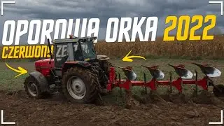 OPOROWA ORKA 2022 ✔ KOPCĄCY MASSEY W AKCJI ✔ MASSEY FERGUSON 3645 VS 4 SKIBY ✔ GR PIECZYKOLAN ✔