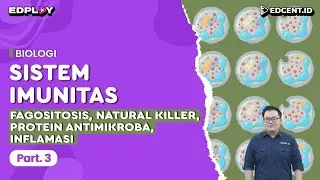 SISTEM IMUNITAS : Fagositosis, Natural Killer, Protein Antimikroba, Inflamasi  | Part 3