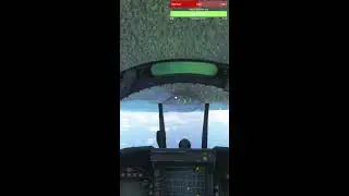 MSFS 2024 CAREER (LIVE)