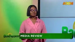 U.S. Immigration Authorities Detain Ken Ofori-Atta Visa Over Status (08 -01-26)