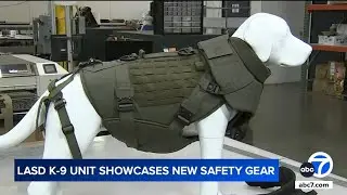 Fallen LASD K-9 inspires new ballistic vest designed to protect police dogs in the line of duty