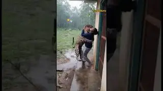 On Camera 🐆 Unexpected Leopard Chaos Near Village House! 😨 Real Fear Moment #shorts
