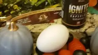 Mediterranean Breakfast with 8 oz of The Original Organic Detox Tea