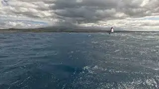 GoFoil アレックス アグエラ パラウイング ダウンウインド Alex Aguera Parawing DownWind