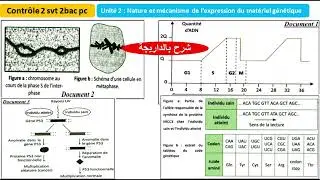 Contrôle 2 svt 2 bac pc (شرح بالداريجة)